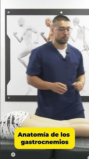 Anatomy of the gastrocnemius muscles