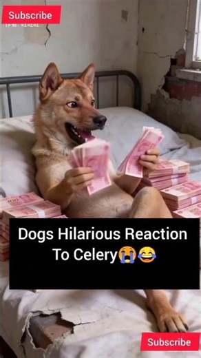 Dog Tries Celery For The First Time! 😱 | Funniest Dog Reactions#shorts