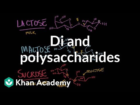 Carbohydrates- di and polysaccharides | Chemical processes | MCAT | Khan Academy