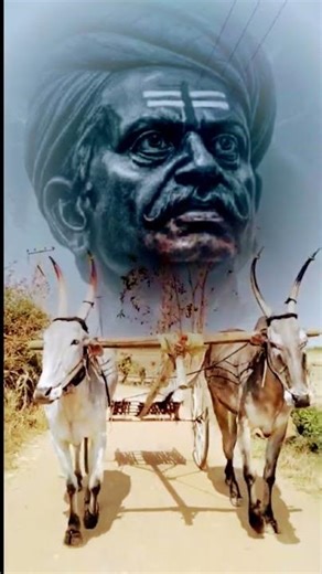 dastikoppa bulls ⚡💪 #automobile #dance #bull #hubli #travel