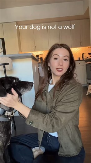 Alexandra the Average on Instagram: "Kona requires daily face massages The alpha theory originated from L. David Mech. In early work based largely on captive wolf packs, Mech used and popularized the idea of “alpha” wolves and dominance based pack structure. Later, after decades of field research on wild wolves, he explicitly stated that this “alpha” concept was misleading and should be abandoned."