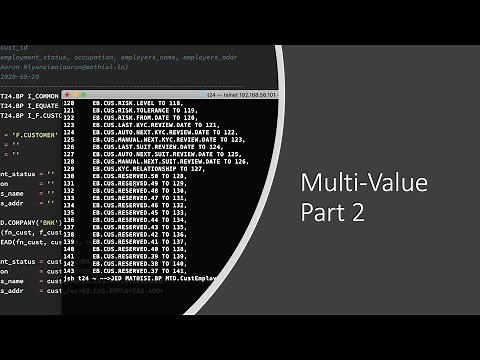3. T24 Programming Series|Learn the best practice and advanced techniques - MultiValue & Subroutine