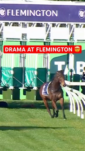 War Machine has broken through the front of the barriers ahead of the Aurie's Star 😬