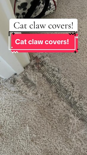 Cat Claw Covers: A Must-Have Pet Accessory