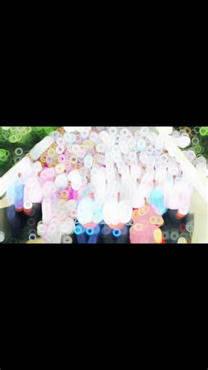 2025 BOC Trainee Staff Assistant Program Overview