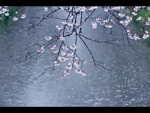 村下孝蔵 『春雨』