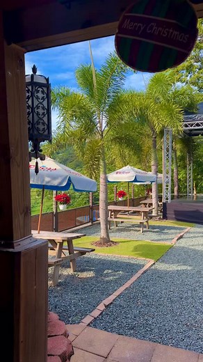 A ley de 1 día más para nuestro Anticipo Navideño. Desde las 6PM con música buena y mucha fiesta🎄 ¡Los esperamos! | Don Carlos Restaurant