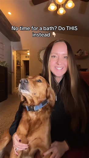 did the sniff test so you don’t have to. 😅 This clean-ingredient dog spray instantly takes your pup from “smells like mystery outdoors” to fresh, fluffy cuddle-approved. No toxins. No fake fragrances. No more dog smell on your couch, blankets, or clothes. Just a natural dog deodorizer that actually WORKS. Your nose will thank you. 👃✨ Your dog will too. 🐶 #dogsoftiktok #nontoxic #dogmom #goldenretriever #petproducts