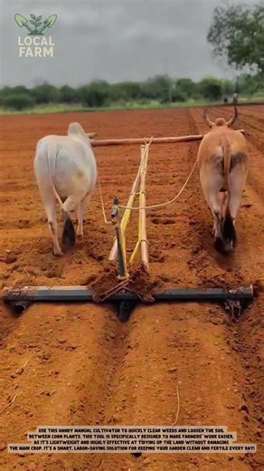 Amazing Traditional Agriculture Tools You Need to See