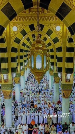 takbeerat for eid ✨️🕋🌺🤲 #nobatidao #trend #exploreislam #eid #hammad777d