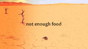 41K views · 721 reactions | An extreme migratory journey that often ends when birds enter the Sahel region in Africa. Learn more about our work to help them: www.birdlife.org/africa/programmes/migratory-birds-and-flyways-africa | BirdLife International | Facebook