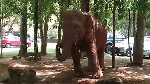 23K views · 1.8K reactions |...