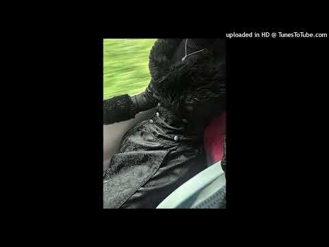 800pts + dxnieldior +ayerp type beat - alcoholic
