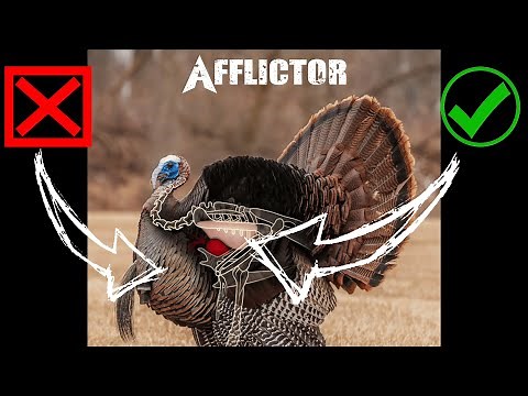 Advanced TURKEY SHOT PLACEMENT for Bowhunting