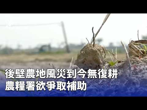 後壁農地風災到今無復耕 農糧署欲爭取補助 | 公視台語台 | 20260320