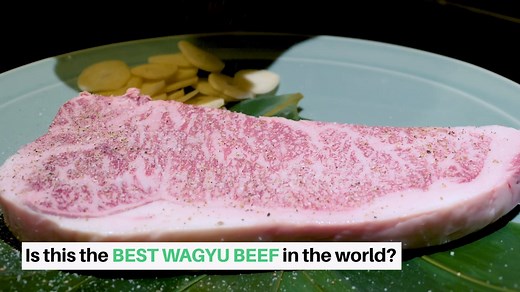 2.2M views · 20K reactions | Is This the BEST BEEF in the WORLD?...
