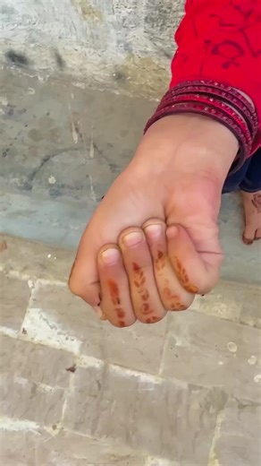 Innovative Kitchen Gadgets You Need to Try