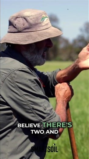 Soil Biology: More Bacteria Than Cells #shorts