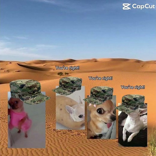 We went on a field trip today and the whole bus started singing this