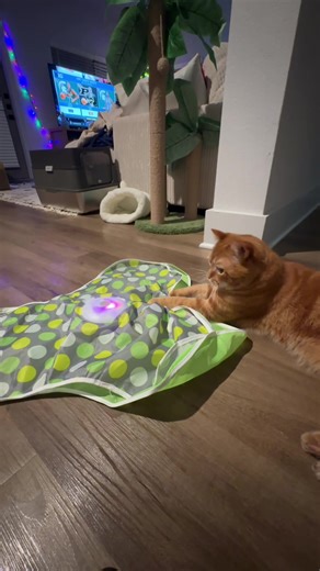 Jenna Chilcote (@jenna_chilcote)’s videos with original sound - Jenna Chilcote