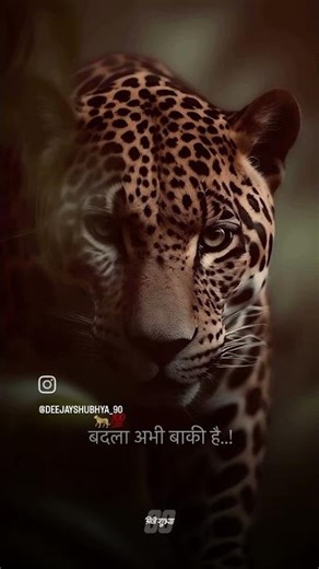 इथं फक्त BRAND चं दिसणार..!! " नियोन आधीचदाखवायचं नसतं...