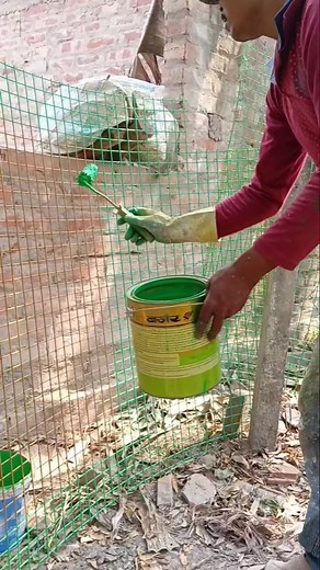 Jali painting primer green colour #short #viralvideo #artpainter #wallpainting #painter #viralvideo | Mahabul Mandal