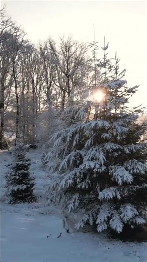 Snow Dance ❄️ | Piano & Guitar Melody