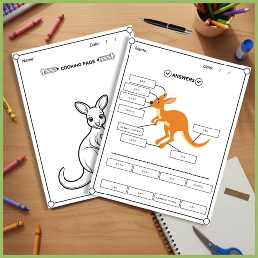 [K-3] Kangaroo Body Parts Labeling Diagram Worksheets | Australian Animals Unit