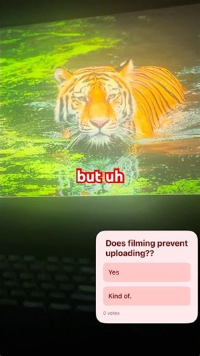 Help me #red #shadow #comedy #undertale #retro #retrogaming #gaming #blindwalkthrough #retrogamer