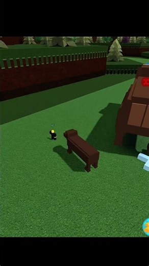 Exploding Dog trolling Pt.1🐻😝😭#roblox #robloxmemes #babft #buildaboatfortreasure