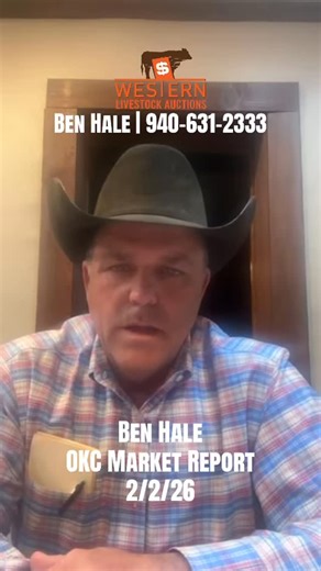 Western Livestock Comm. Co. on Instagram: "Market Report for Monday Feb. 2nd in Oklahoma City. We had a lighter run with about 2,600 hd since the weathers been cold and wet, but THIS MARKET! It keeps on going up. Most cattle we saw were at least 45 days weaned and looking good. Once this moisture dries up we’ll see bigger runs again at the city. Remember #TheWesternAdvantage whether buying or marketing cattle! We’re here to work for you. Thank you and have a great week! #stockyards #cattlemarket