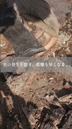 薪は「雨ざらし」にしろ？プロ直伝、1年で乾燥させる意外な裏技