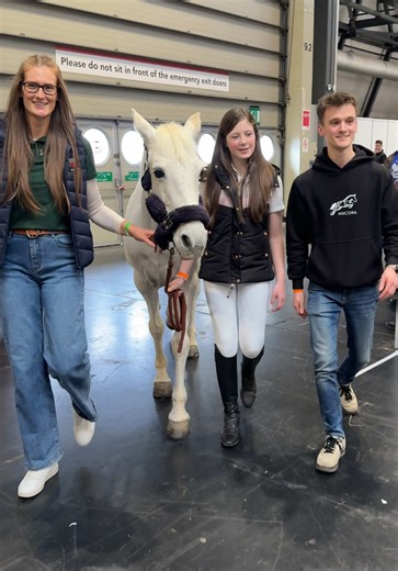 Emotional Pony Meet: A Day to Remember