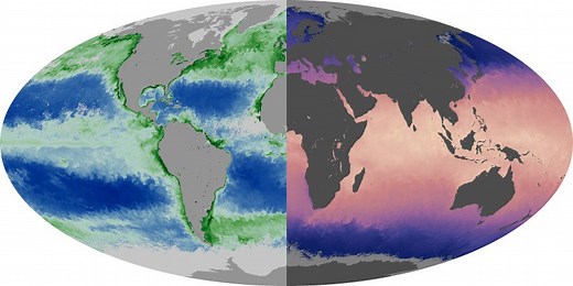 Chlorophyll and Sea Surface Temperature Comparison - NASA Science