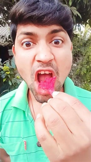 “Sigma Sigma Boy” with Chips 😎🍟