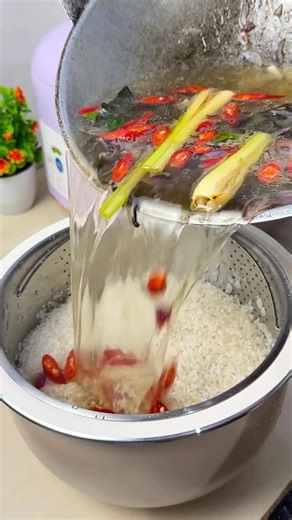 Advil Momz on Instagram: "Ternyata sesimpel ini bikin nasiliwet rice cooker Rice cooker Low Carbo by Mecoo #mecookwithmecoo #ricecooker #resepnasiliwetricecooker"