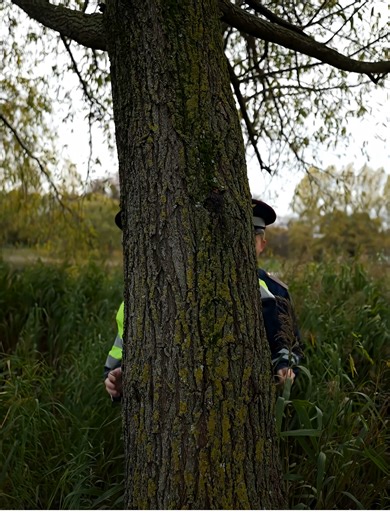 A typical day for a traffic police inspector