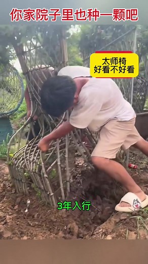 Chinese Artisan Crafts: Step-by-Step Process of Handmade Creation