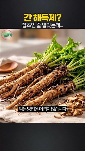 Benefits of dandelion root silymarin, a natural liver remedy herb good for senior health and fatt...