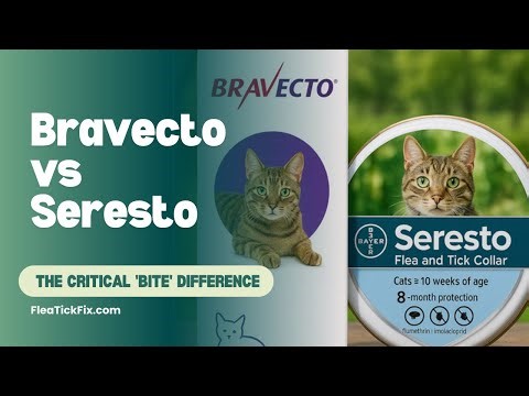 Bravecto vs Seresto: The Critical 'Bite' Difference