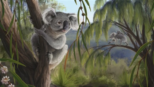 New Species of Fossil Koala Found in Museum Drawer | Sci.News
