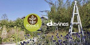 Regenerative Agriculture: We're Exploring the Next Frontier of Sustainability