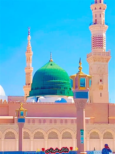 Exploring Pakistan TikTok Trends and Insights