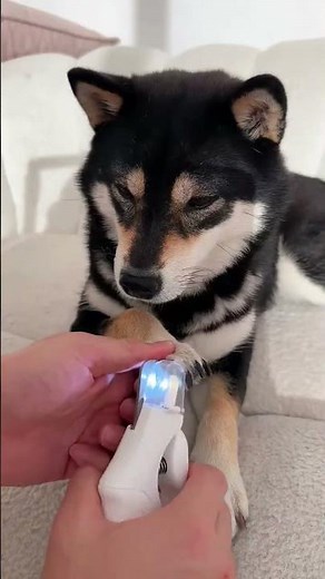 nail clipper machine