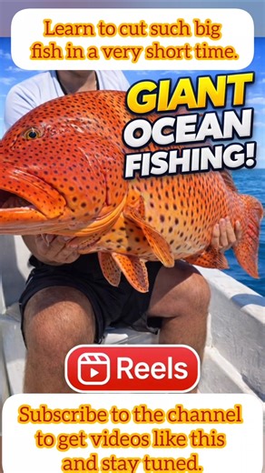 Fresh Arabian Sea Fish Cleaning & Cutting Process #najilfish #fishcutting #shortvideo #fishcut