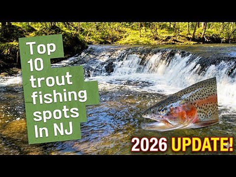 Top 10 Best Trout Fishing Streams in New Jersey | NJ Angler Guide