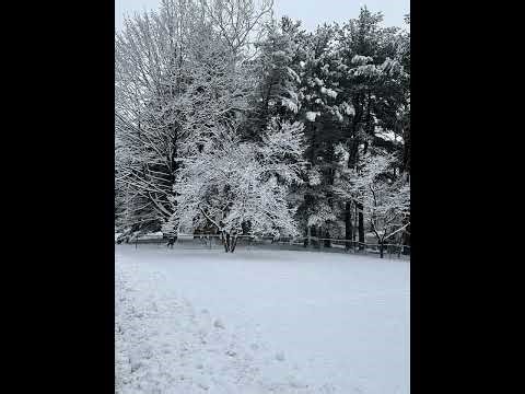 Tamil Old Cinema Songs part2