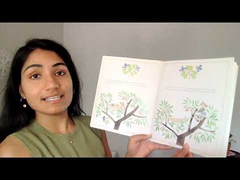 Annos Magic Seeds Read Aloud: Approaching Math Through Story