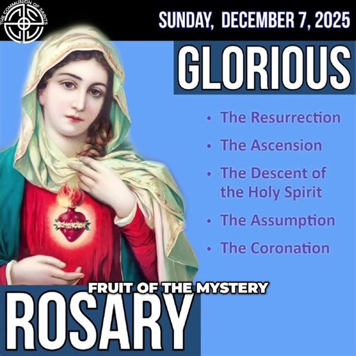 4th Glorious Mystery: Mary's Assumption Explained #shorts