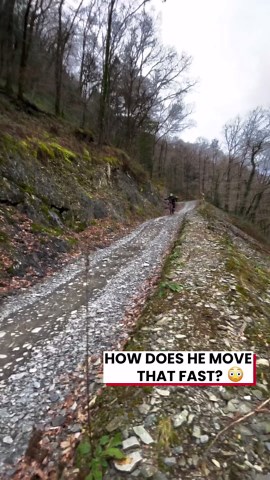 Conquer the trail: Reece Wilson's thrilling MTB journey through Wales!